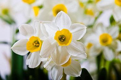 2K表示《奥力奥力世界》和《酷极轮滑》将会回归